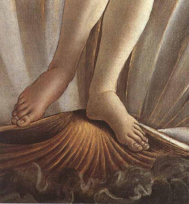 Sandro Botticelli The Birth of Venus (mk36) oil painting image